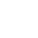 RealEvo-Stream - 启动