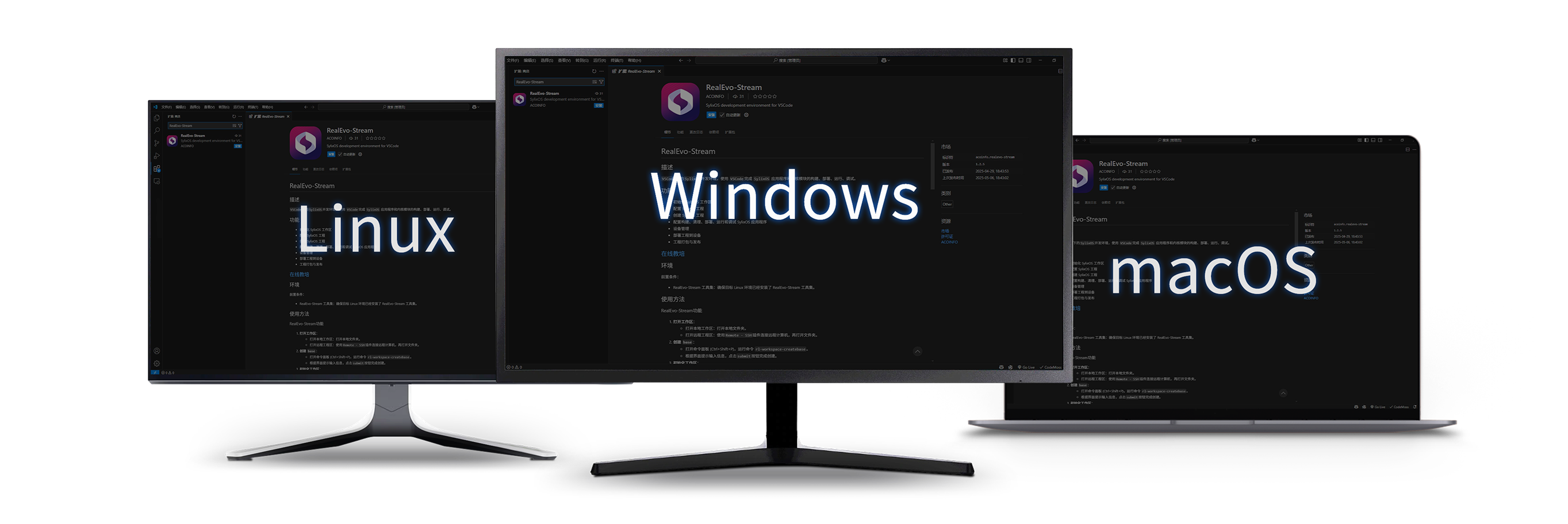 RealEvo-Stream 开发环境下载使用